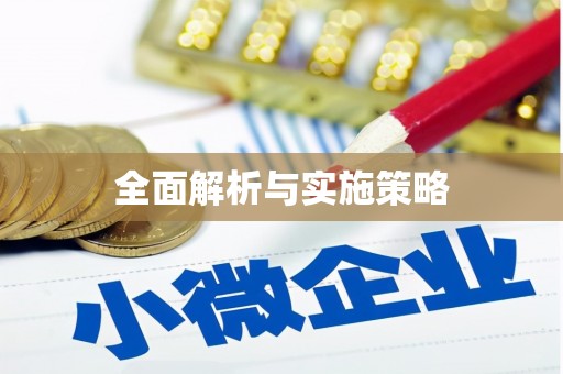 多伦全面解析与实施策略