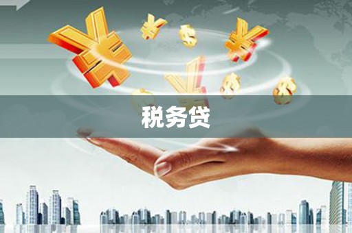 多伦税务贷