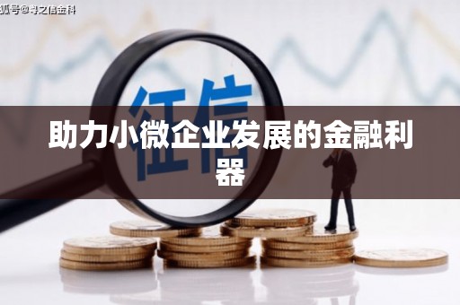 多伦助力小微企业发展的金融利器