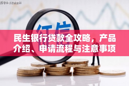 多伦民生银行贷款全攻略，产品介绍、申请流程与注意事项